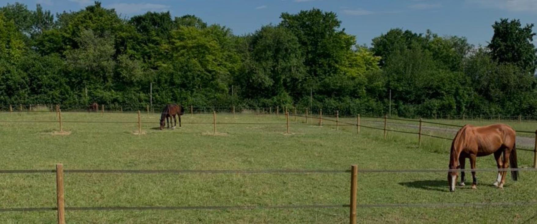 Le Haras de Genainville